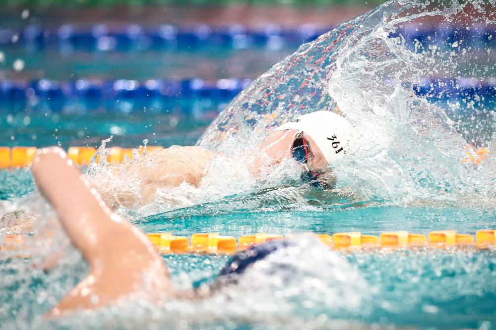 献上无数精 献上无数精